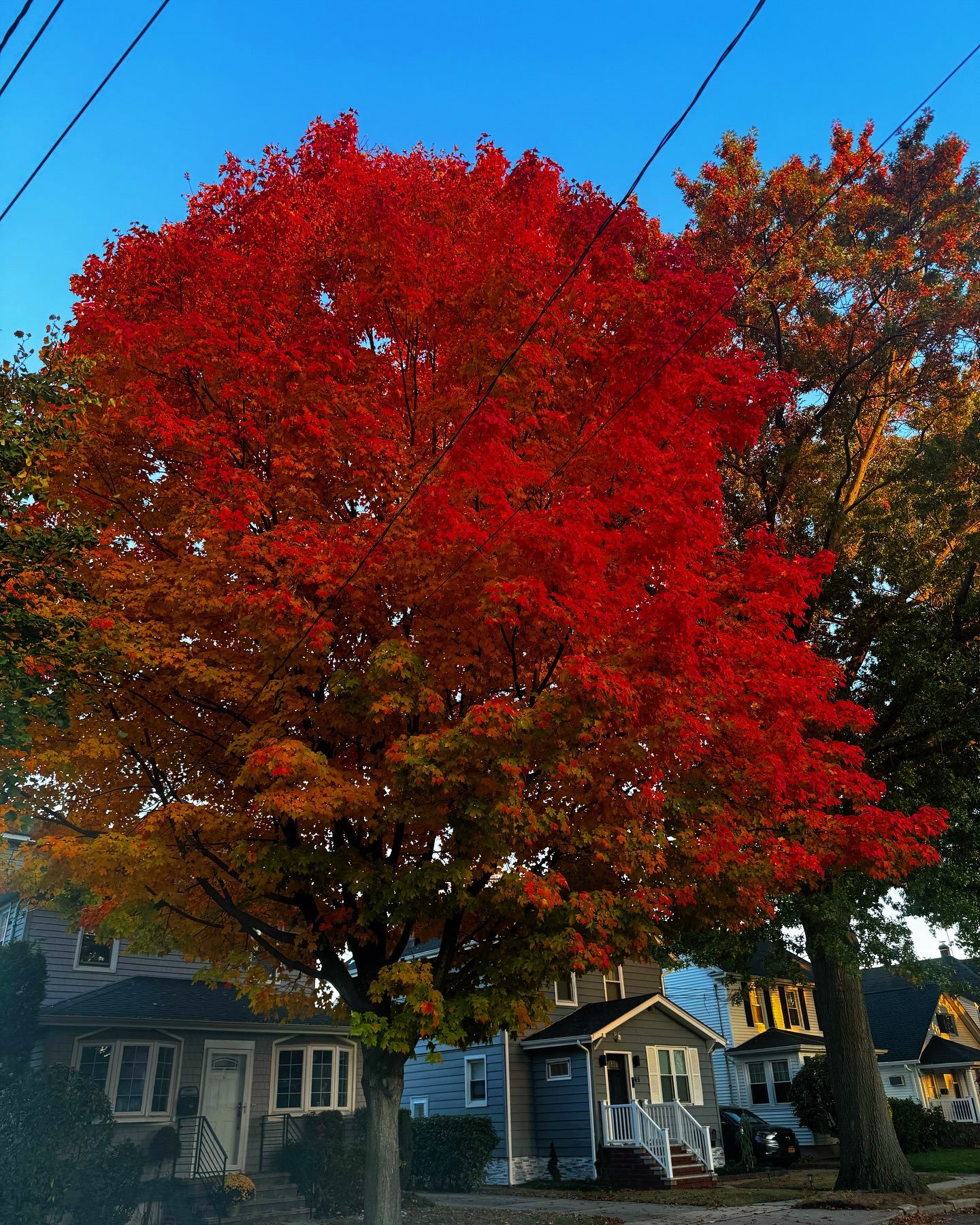 Montana Tornatore - Training & Competition