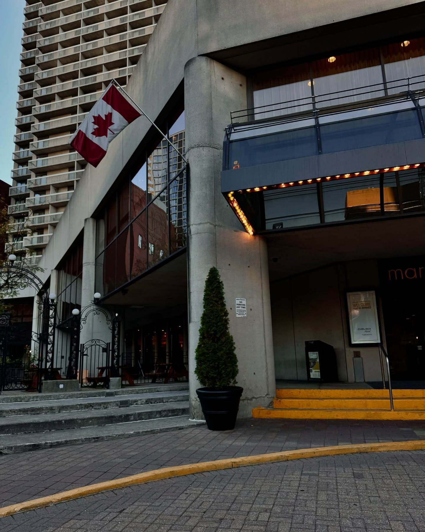 Montana Tornatore - Training & Competition