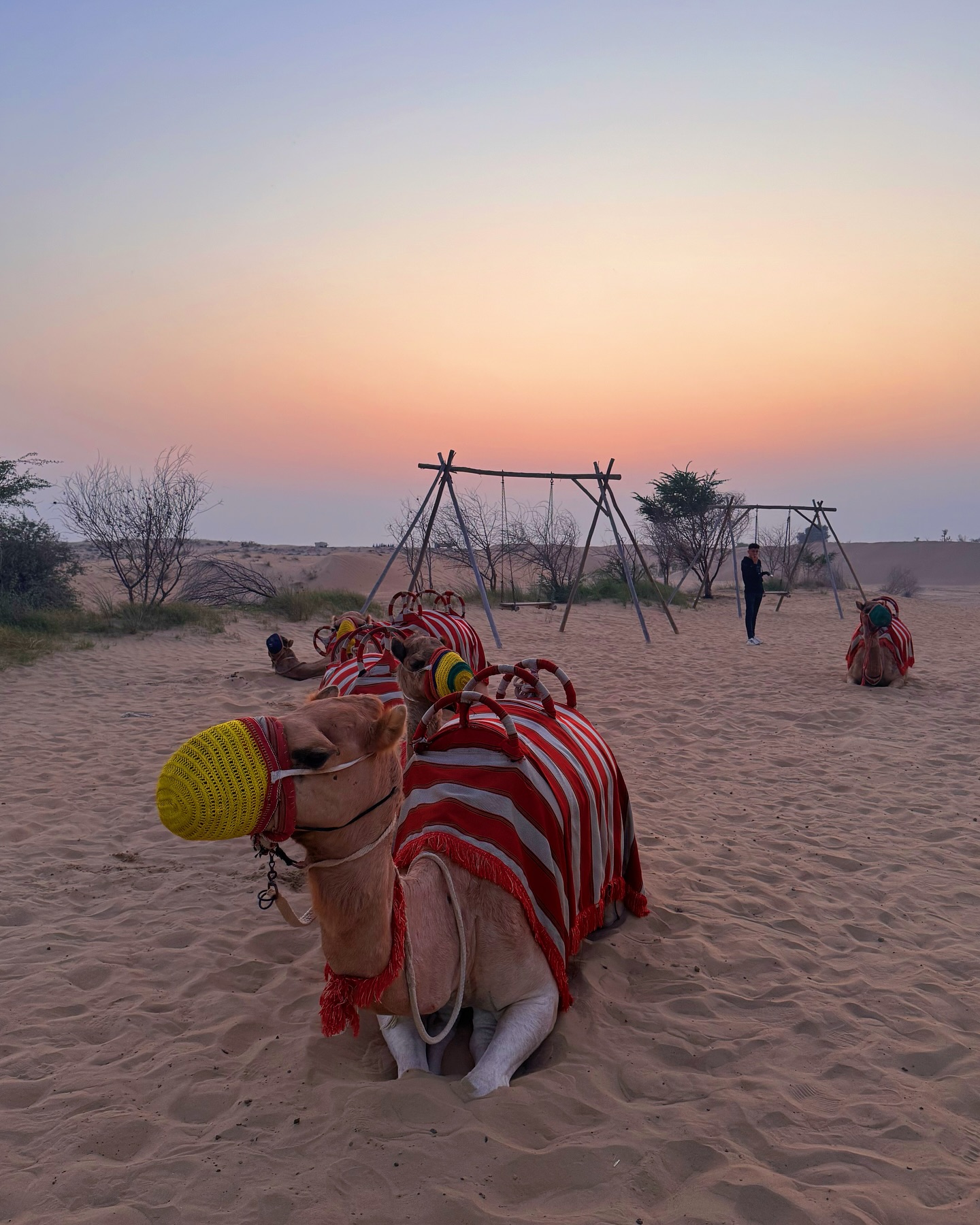 Montana Tornatore - Training & Competition