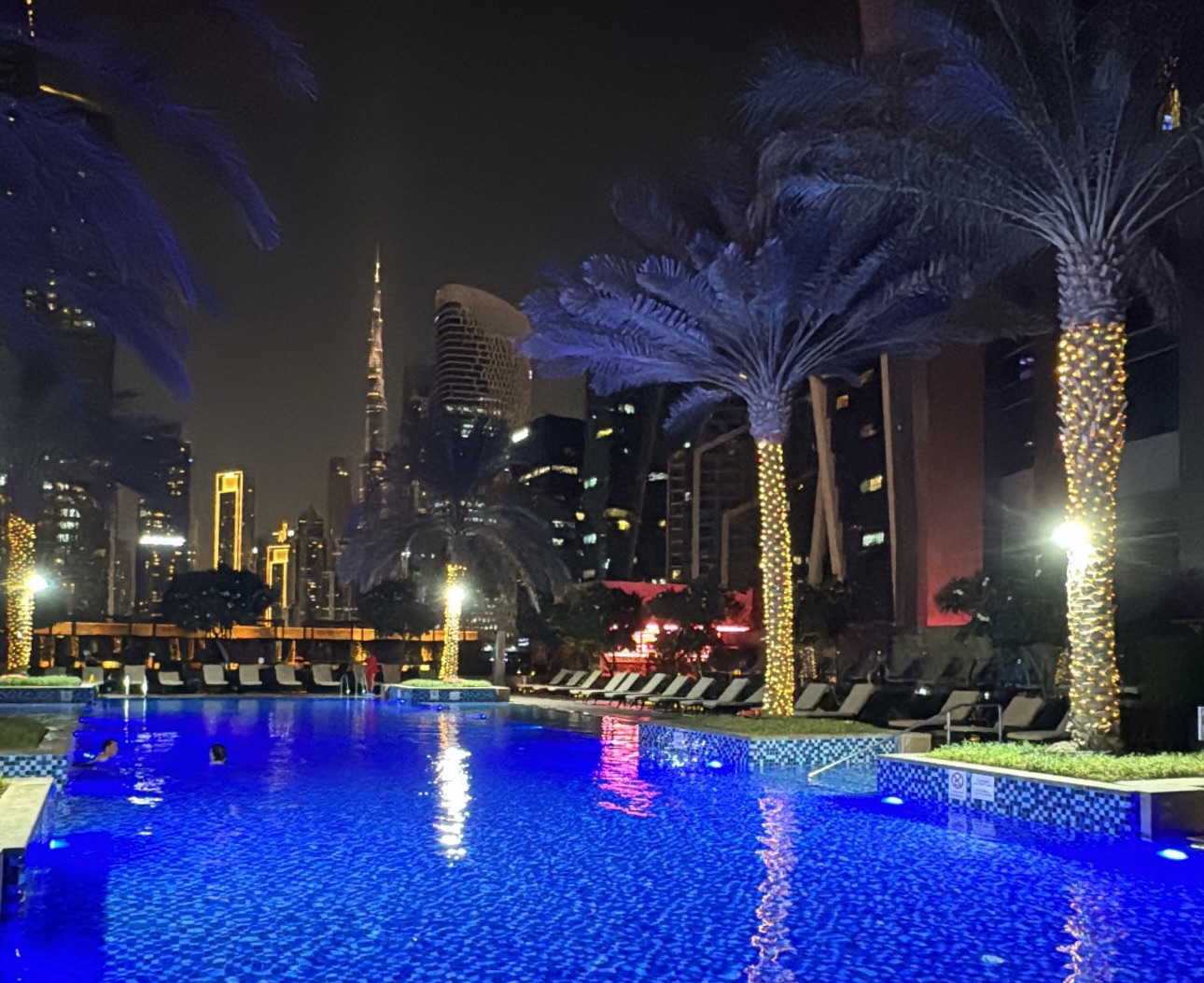 Montana Tornatore - Training & Competition