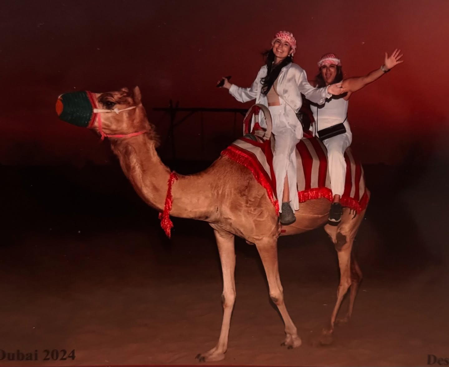 Montana Tornatore - Training & Competition