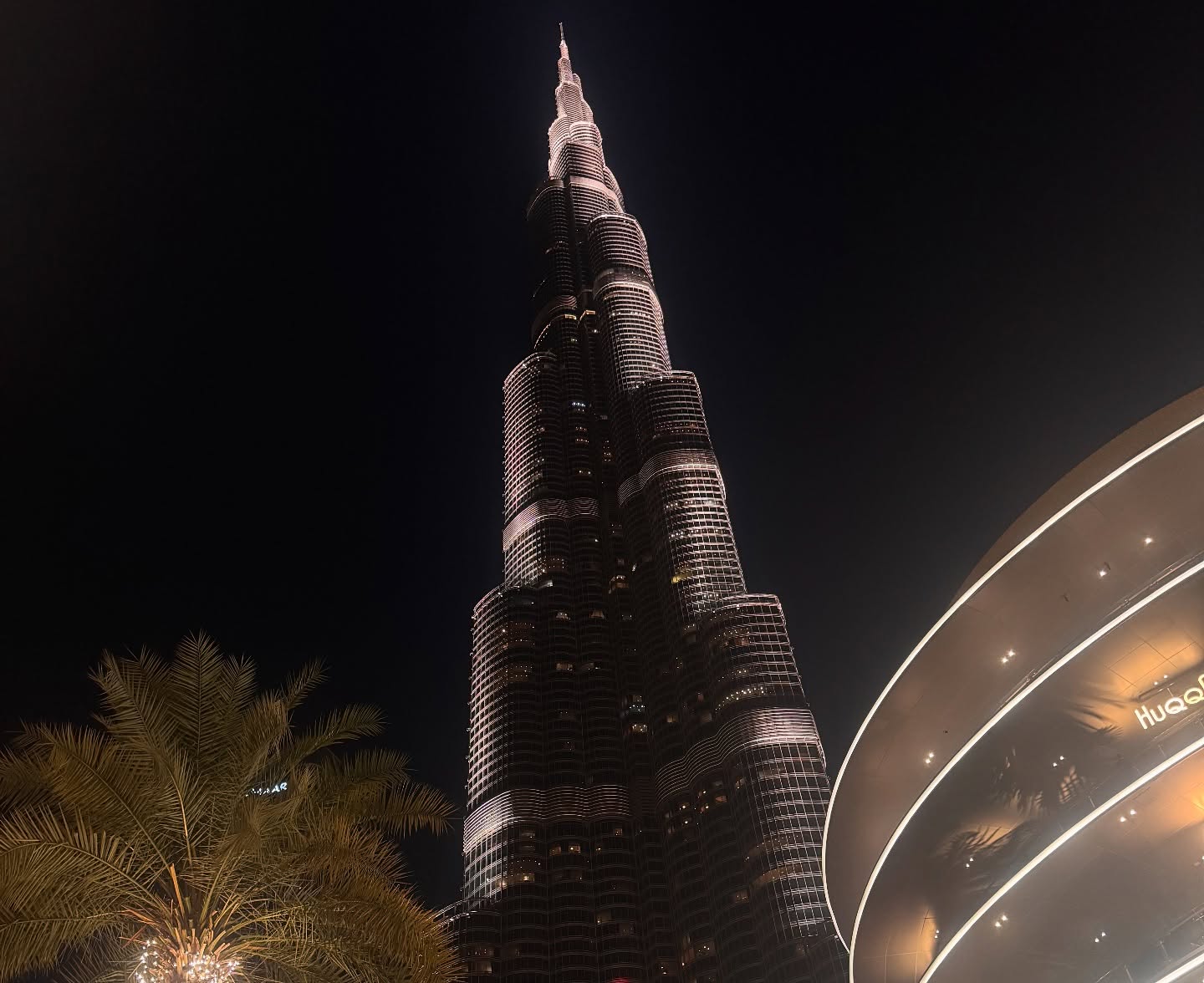 Montana Tornatore - Training & Competition