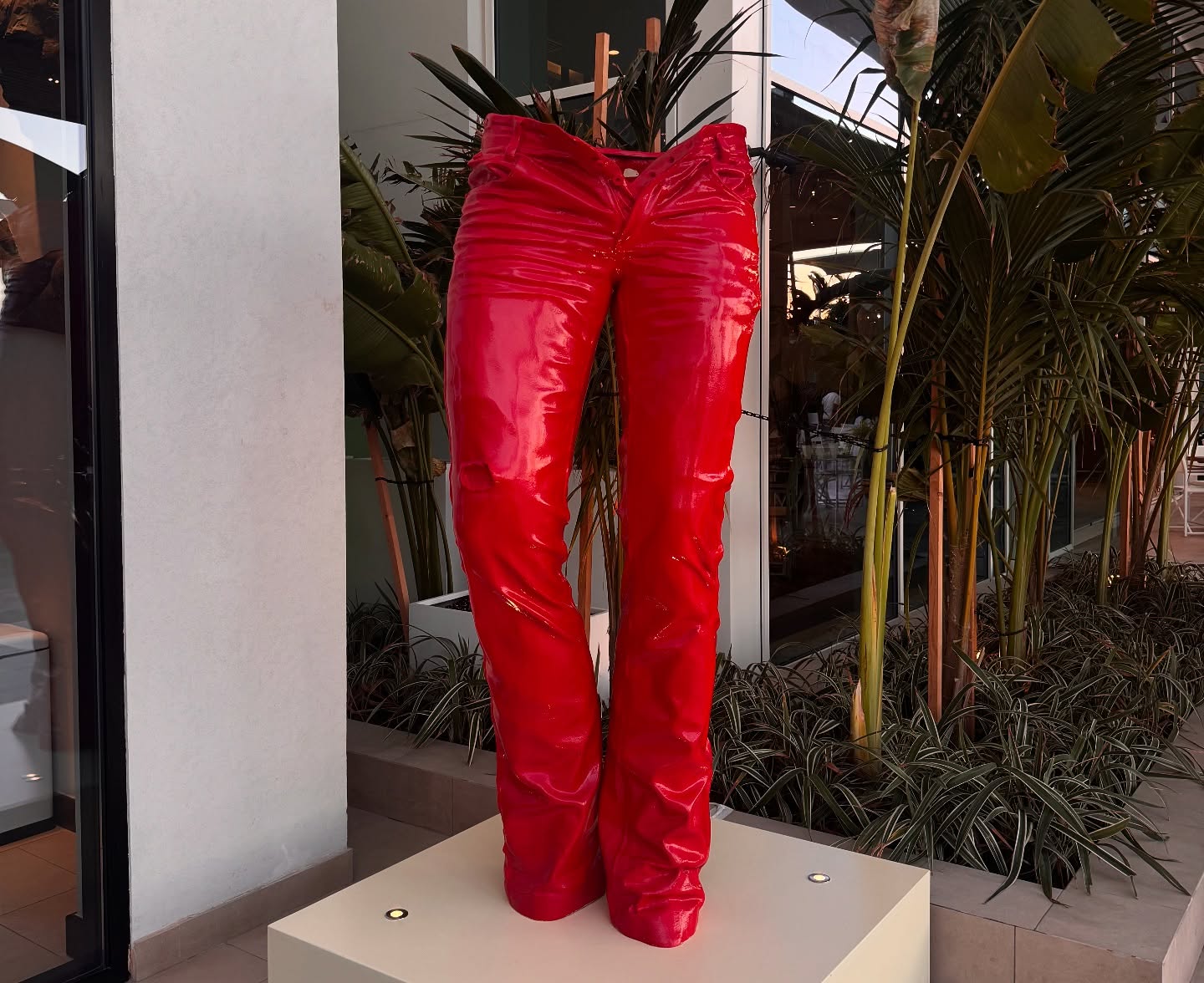 Montana Tornatore - Training & Competition