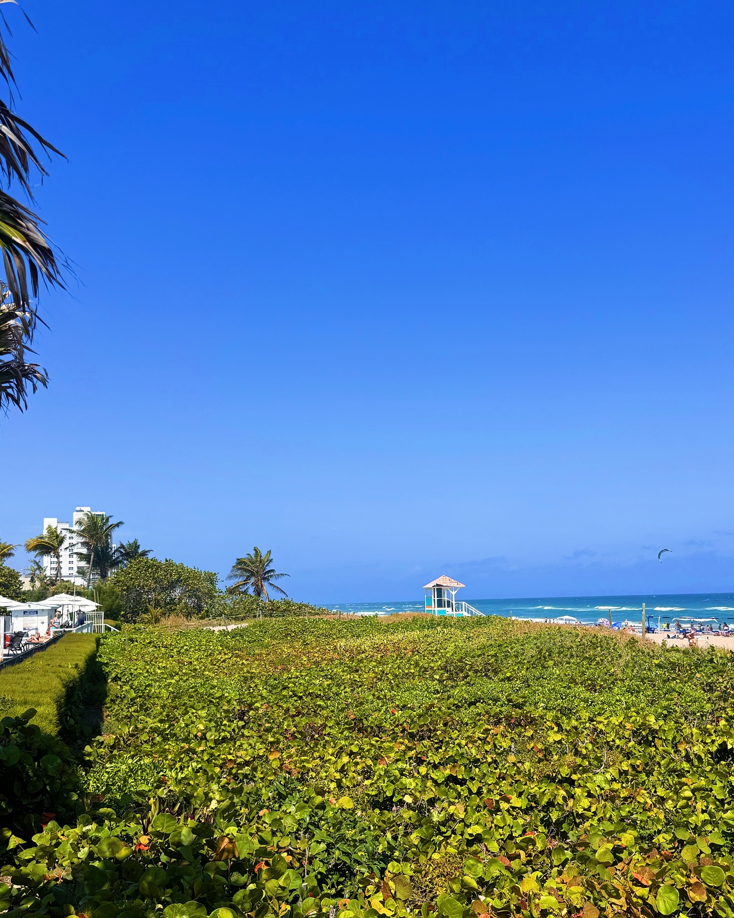 Montana Tornatore - Training & Competition