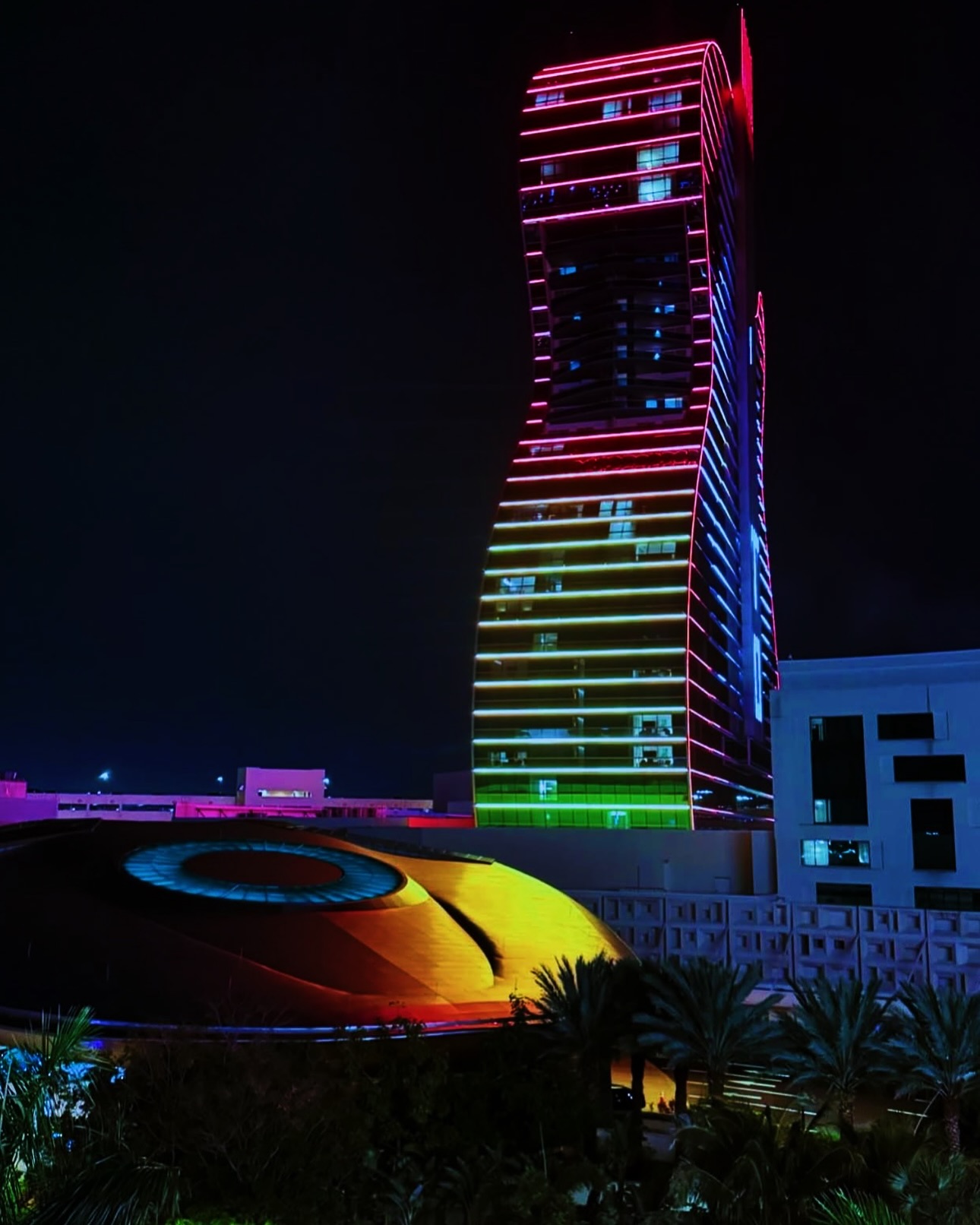 Montana Tornatore - Training & Competition