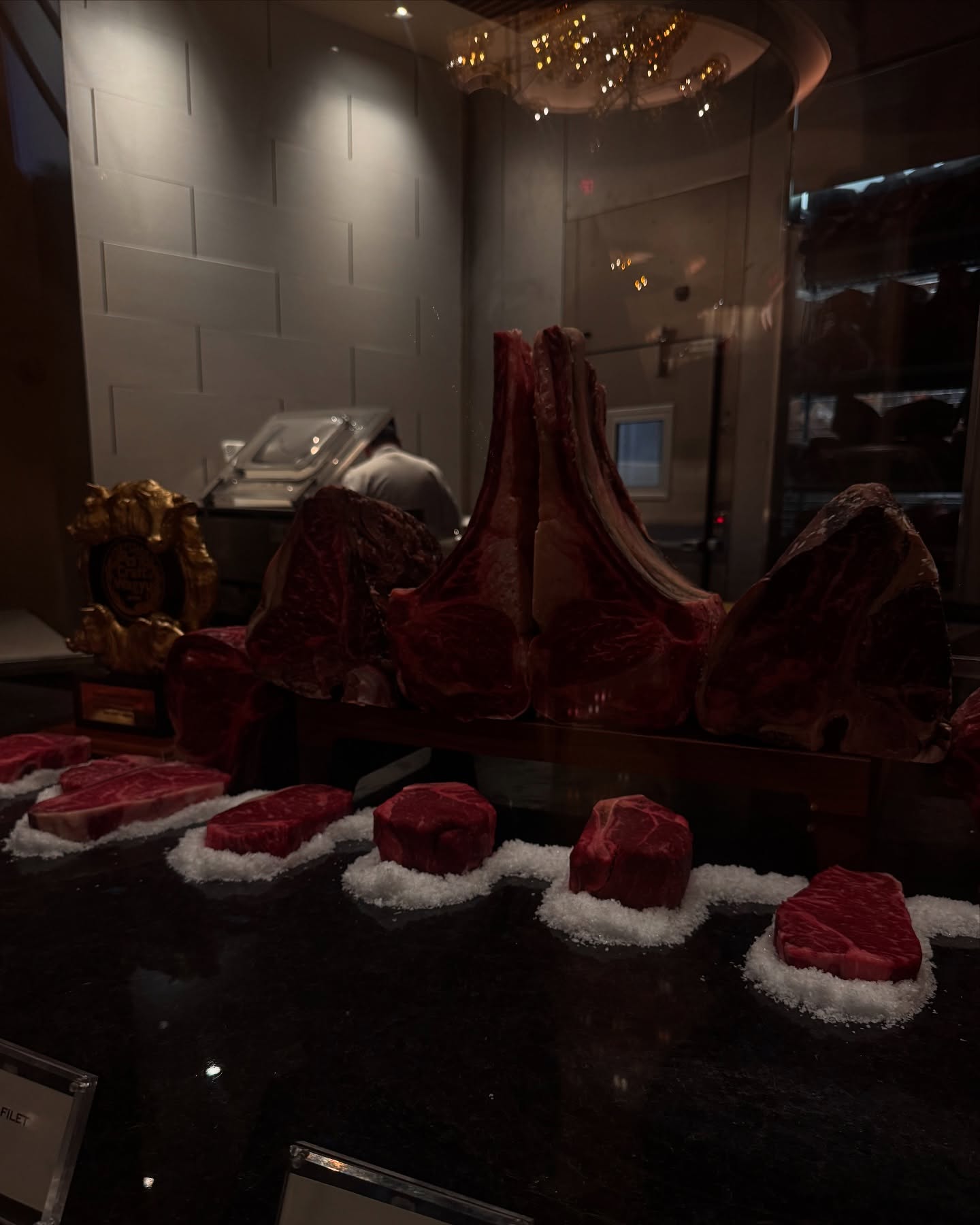 Montana Tornatore - Training & Competition