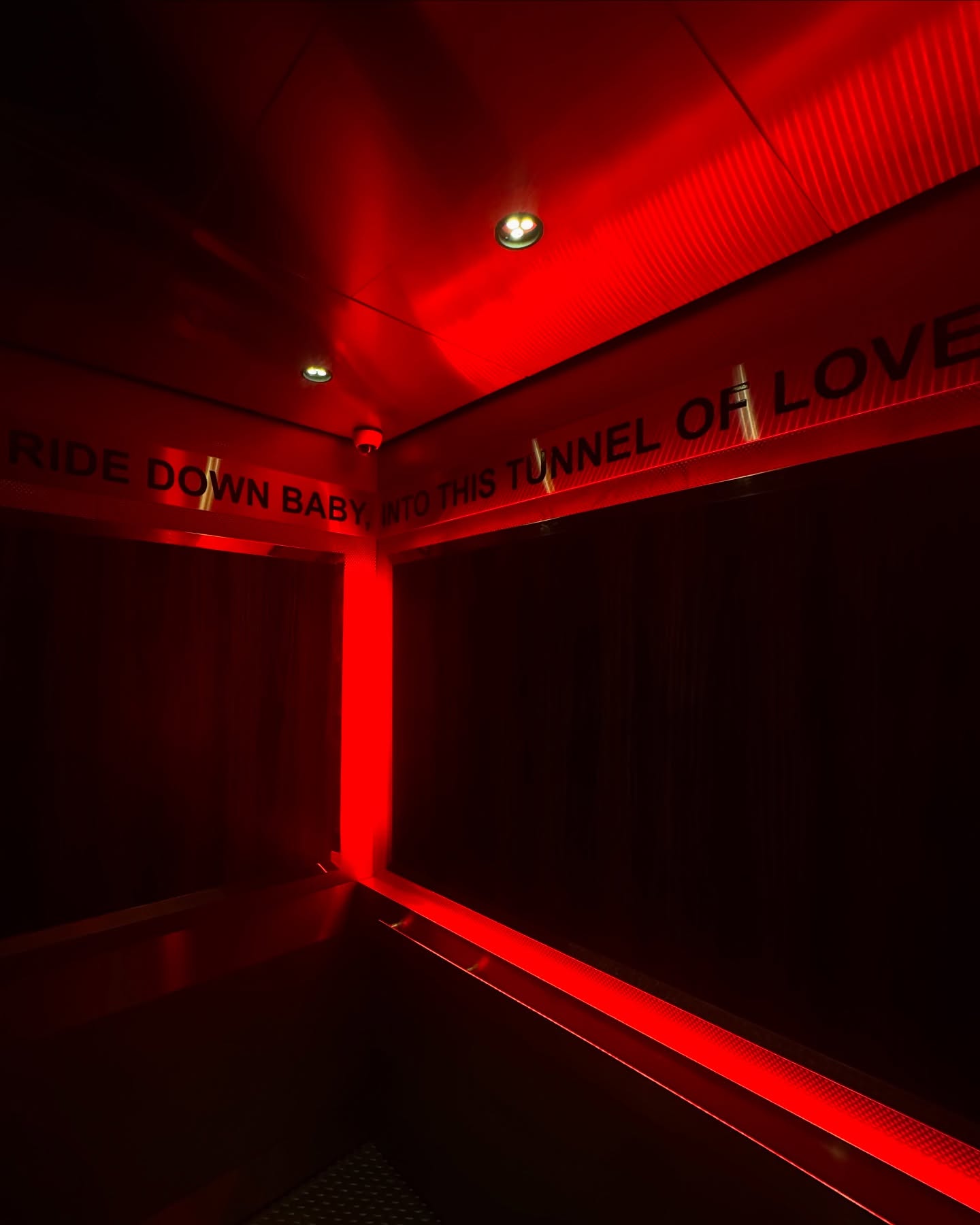 Montana Tornatore - Training & Competition