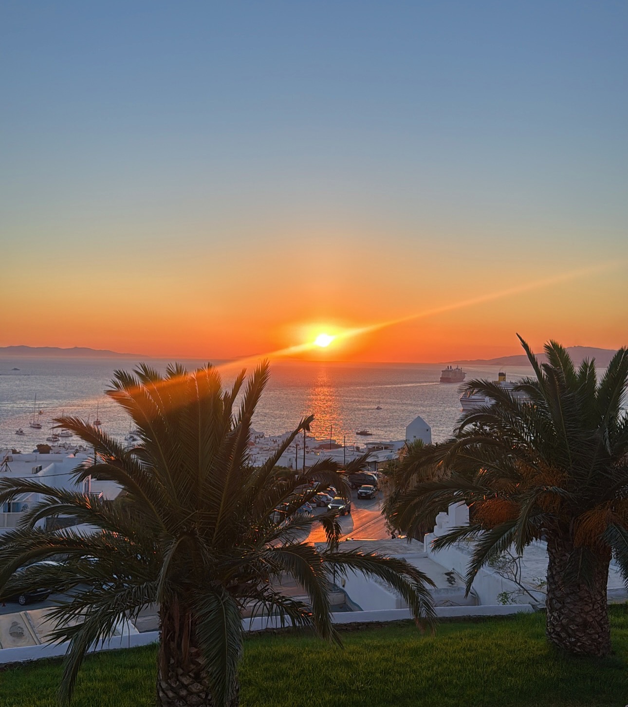 Montana Tornatore - Training & Competition