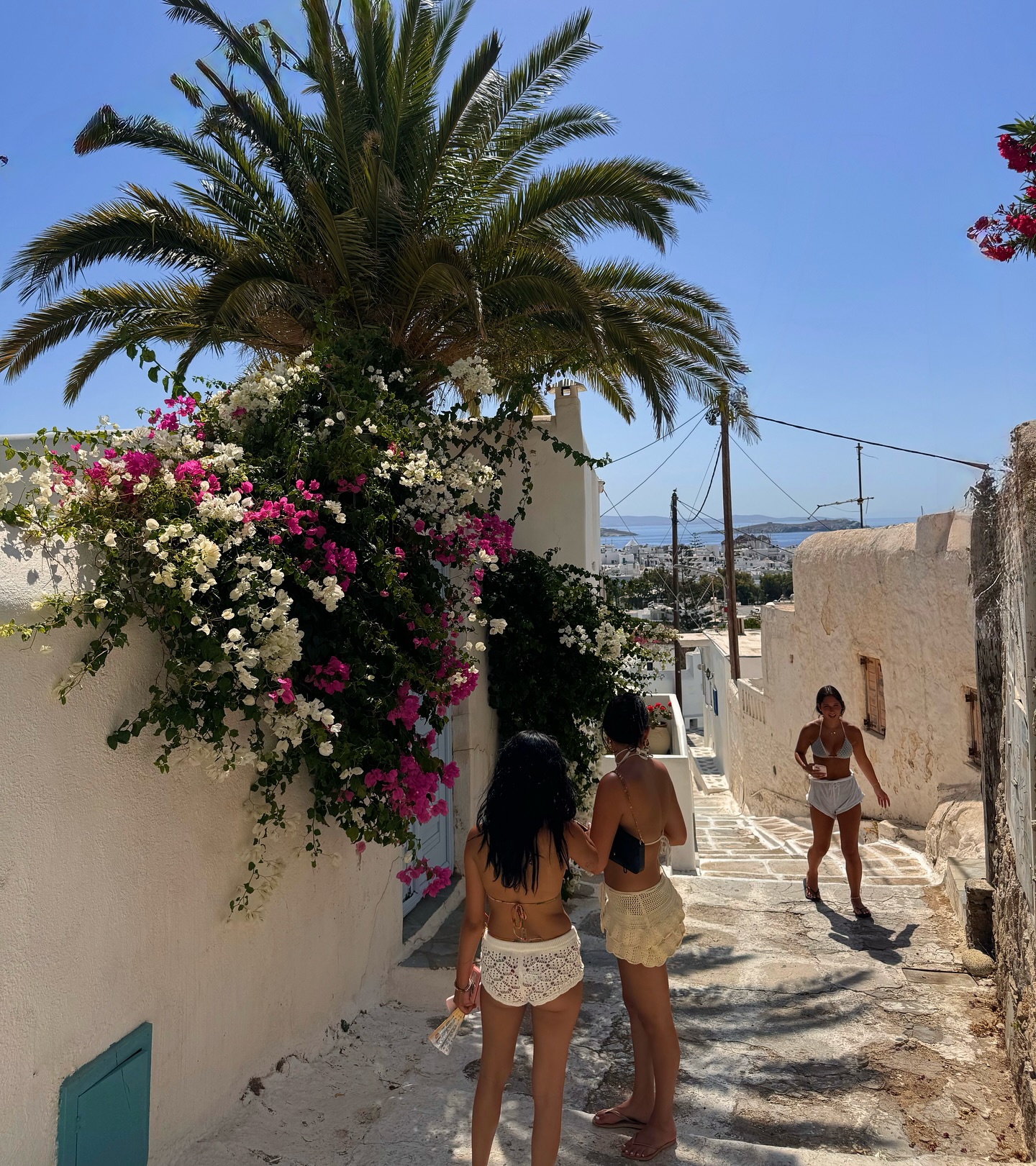 Montana Tornatore - Training & Competition